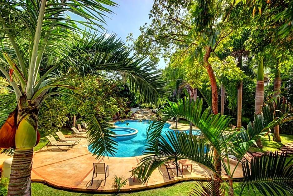 Photo of Outdoor in Gonzalo Guerrero