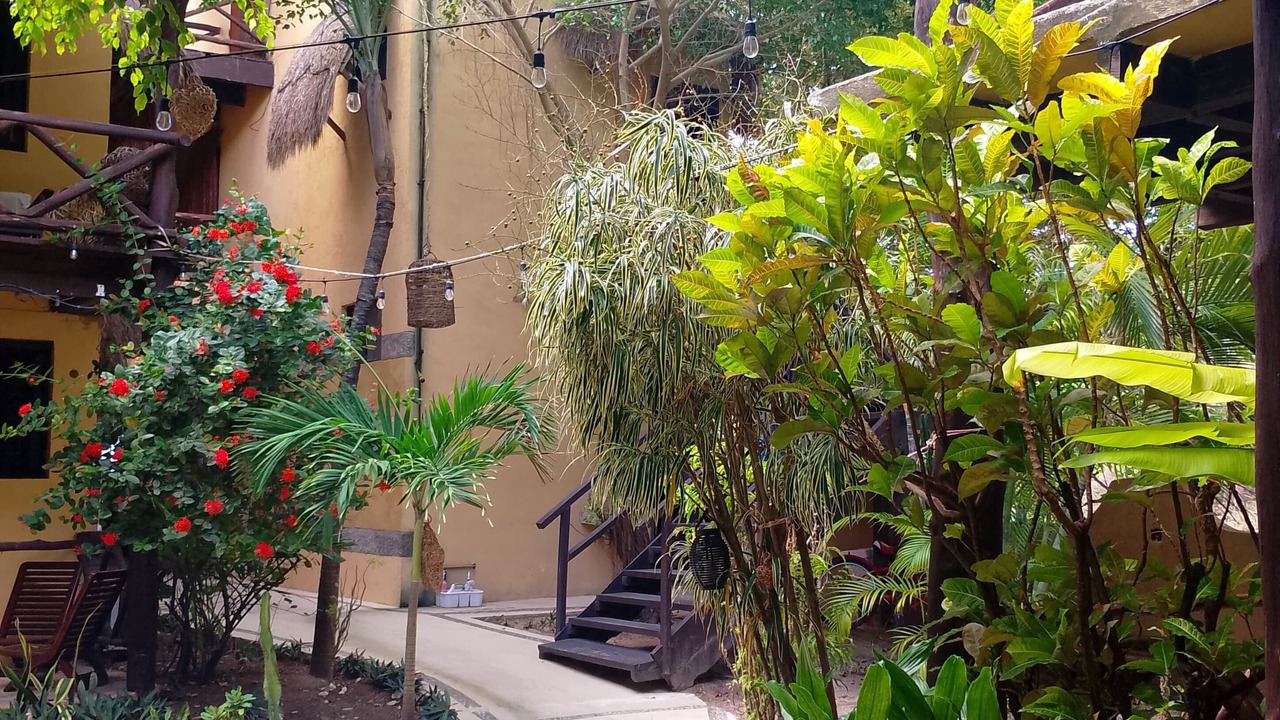 Photo of Outdoor in Mahahual