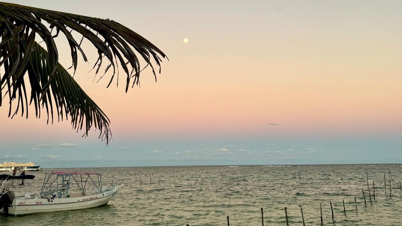 Photo of Others in Mahahual