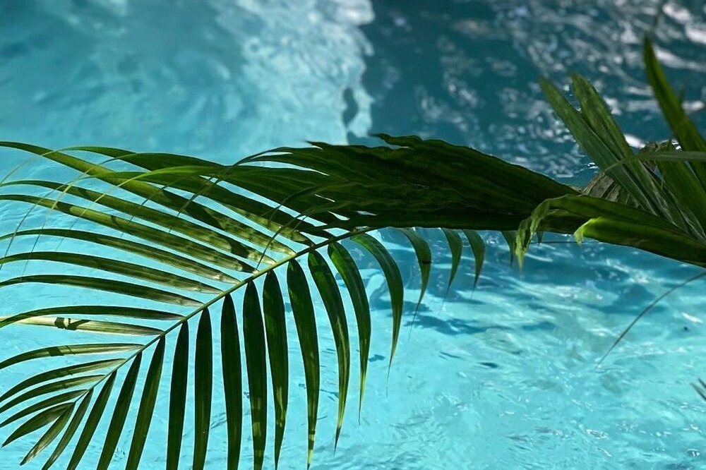 Photo of Outdoor in San Pedro Pochutla