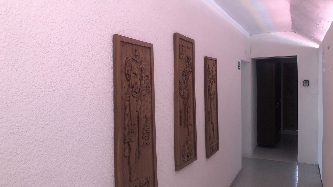 Photo of Outdoor in San Miguel