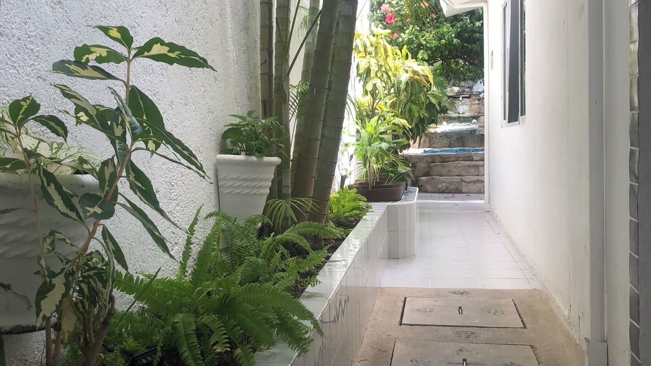 Photo of Outdoor in San Miguel