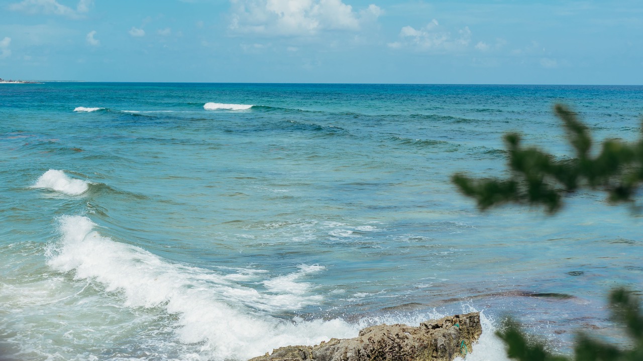 Photo of Others in Cozumel