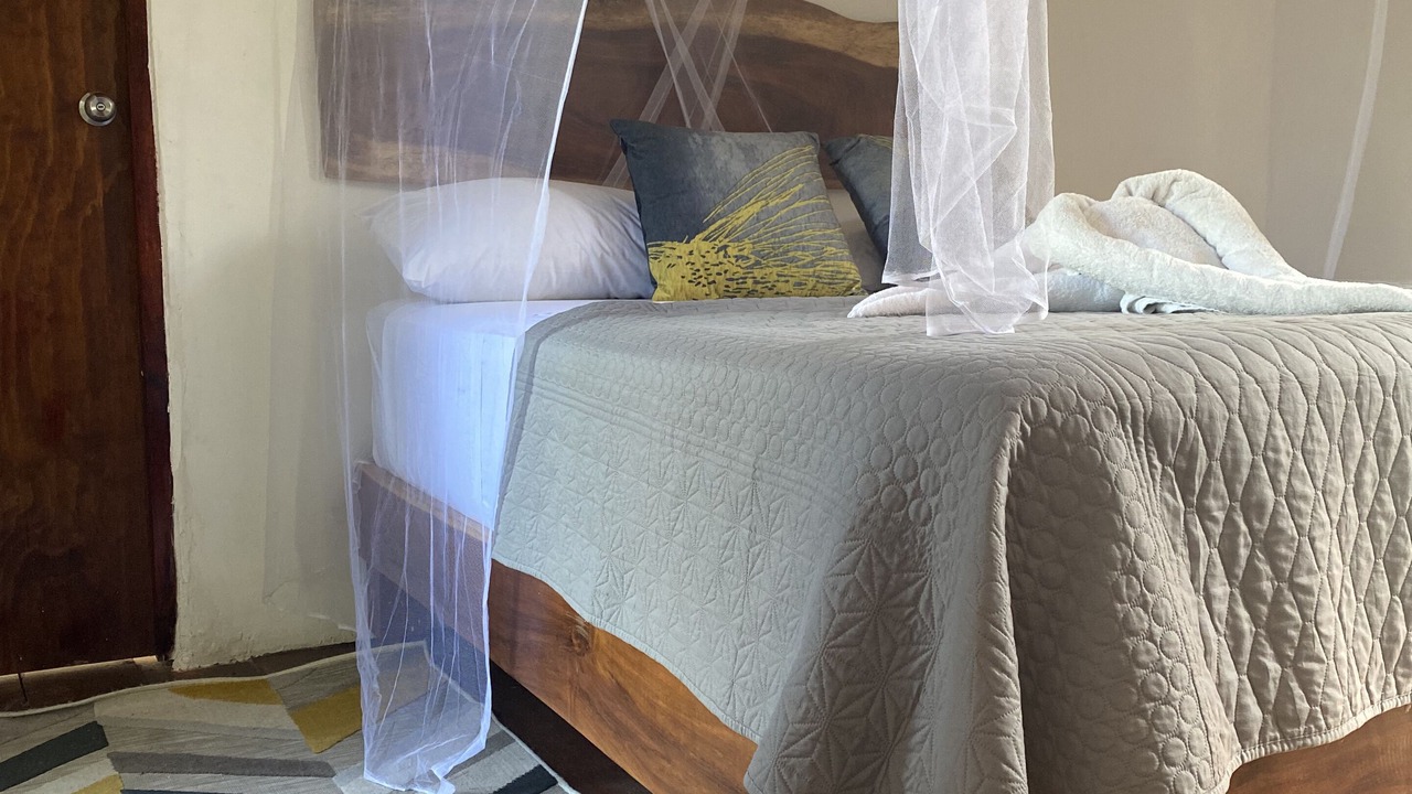 Photo of Bedroom in Zona Hotelera