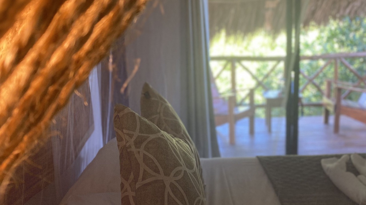 Photo of Patio Balcony in Zona Hotelera