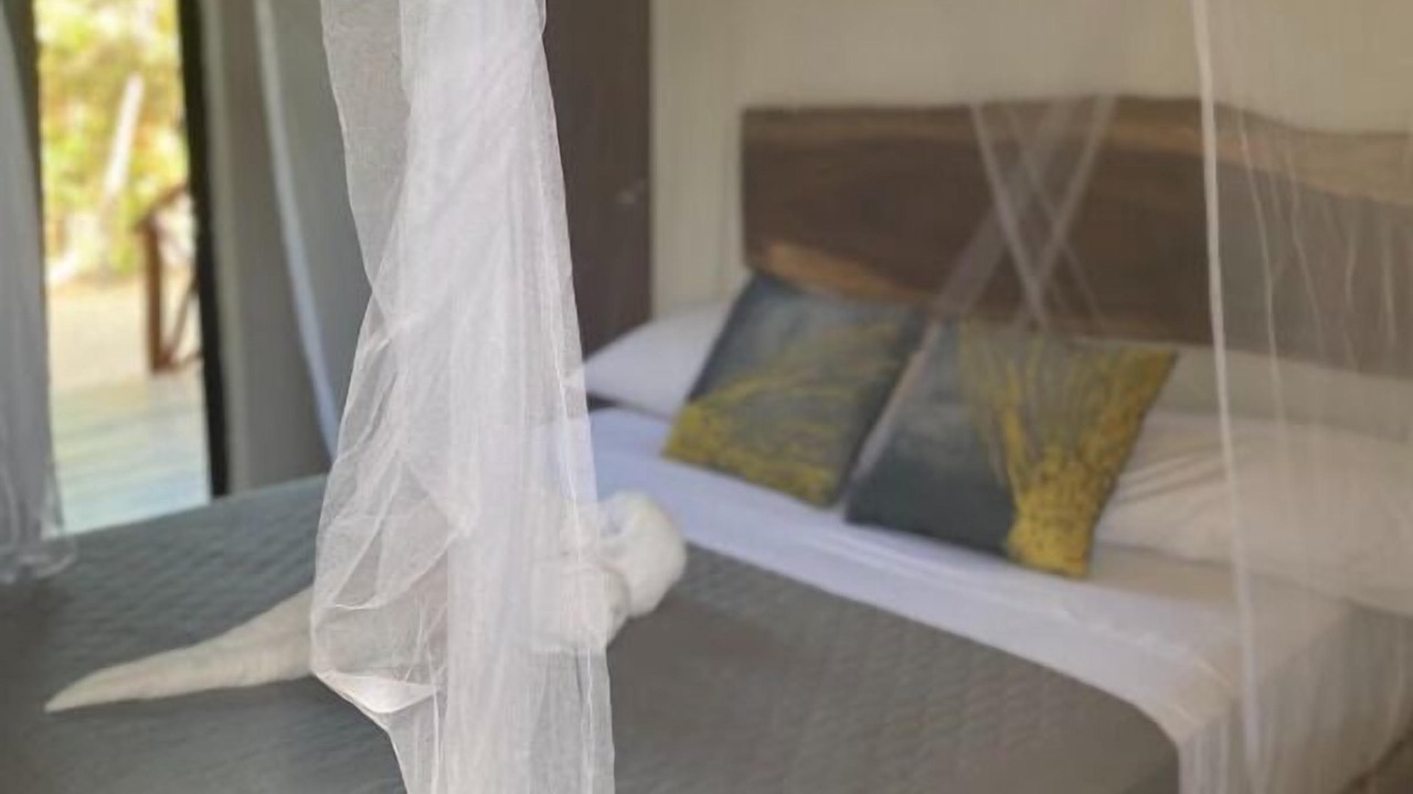 Photo of Others in Zona Hotelera