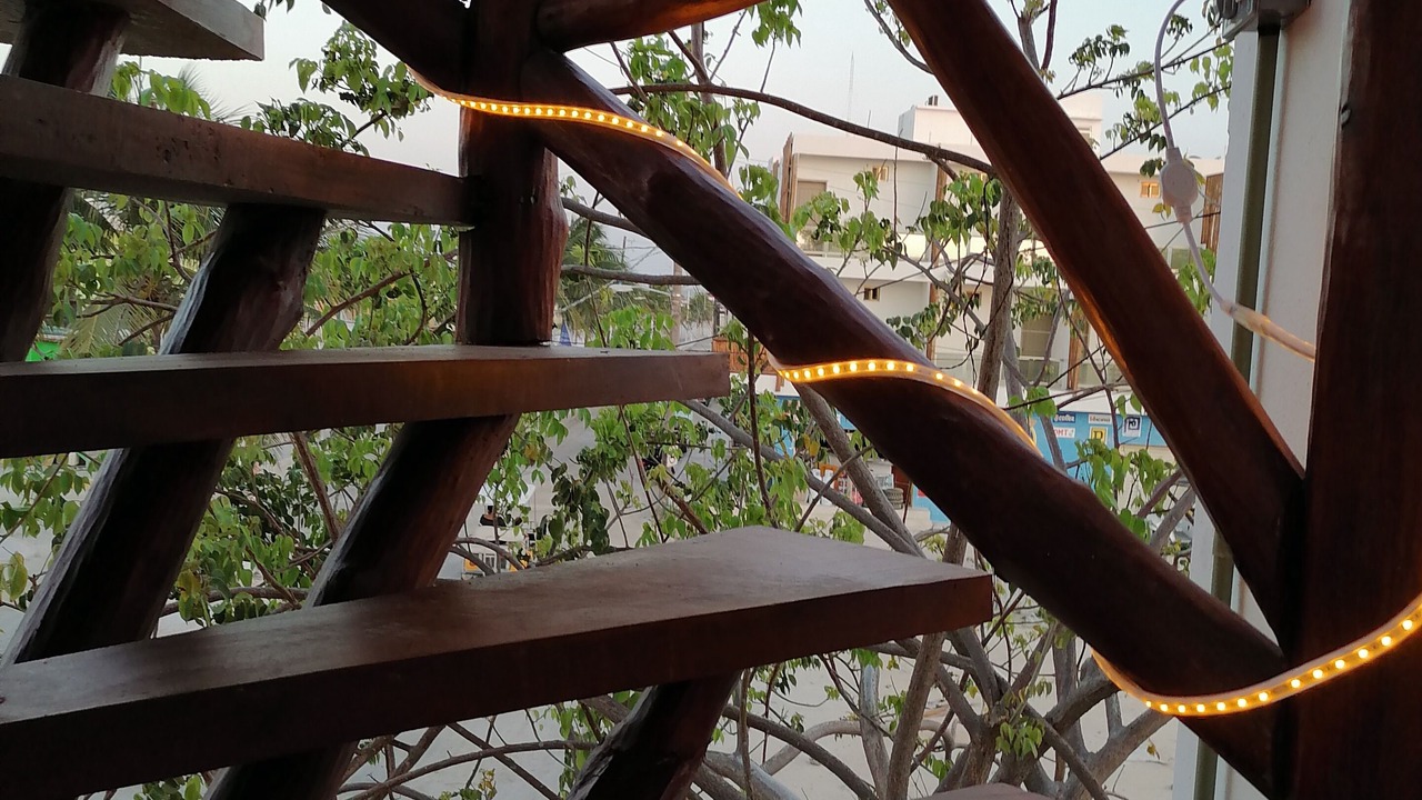 Photo of Others in Isla Holbox