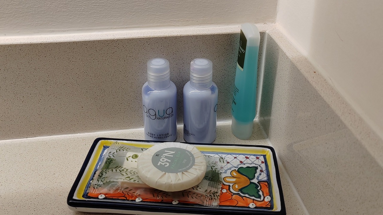 Photo of Bathroom in Tohoku