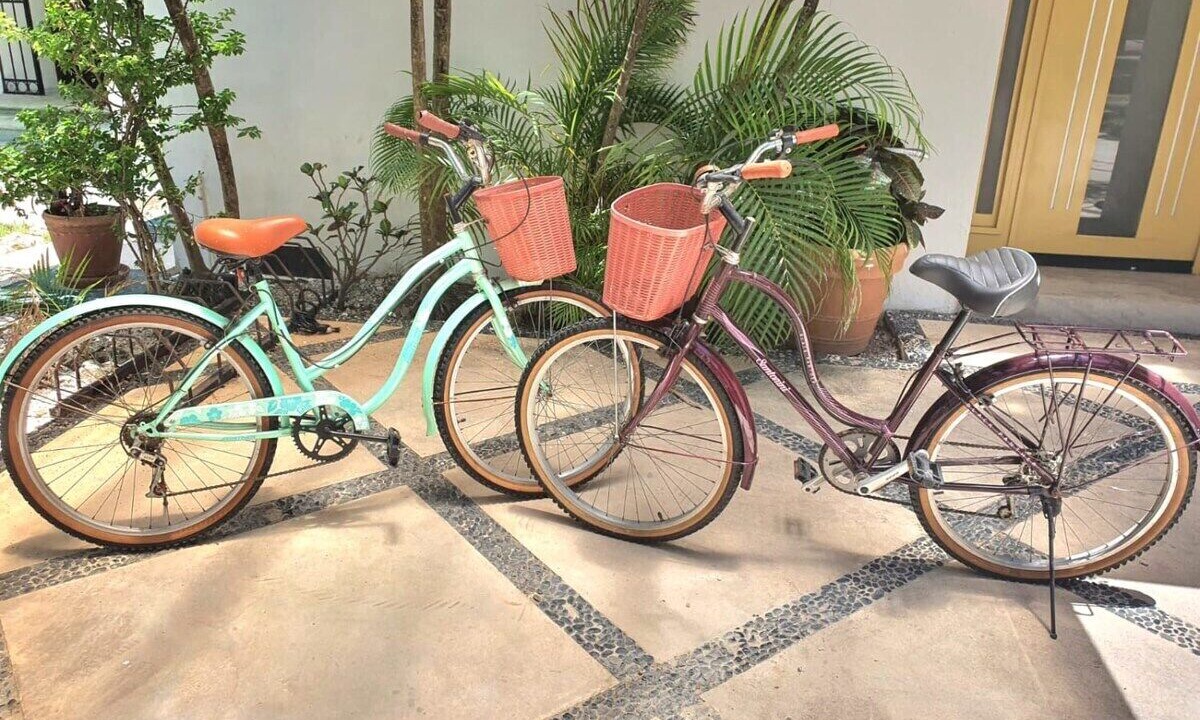 Photo of Outdoor in Playacar
