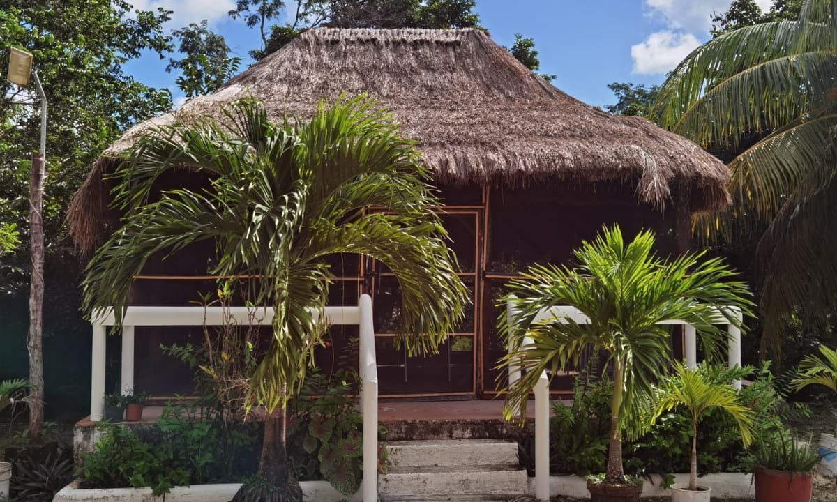 Photo of Outdoor in San Miguel