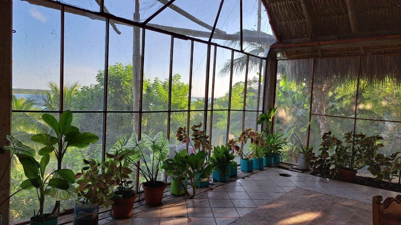 Photo of Livingroom in Bacalar