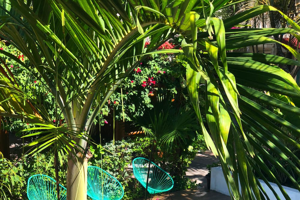 Photo of Outdoor in Colonia Adolfo Lopez Mateos