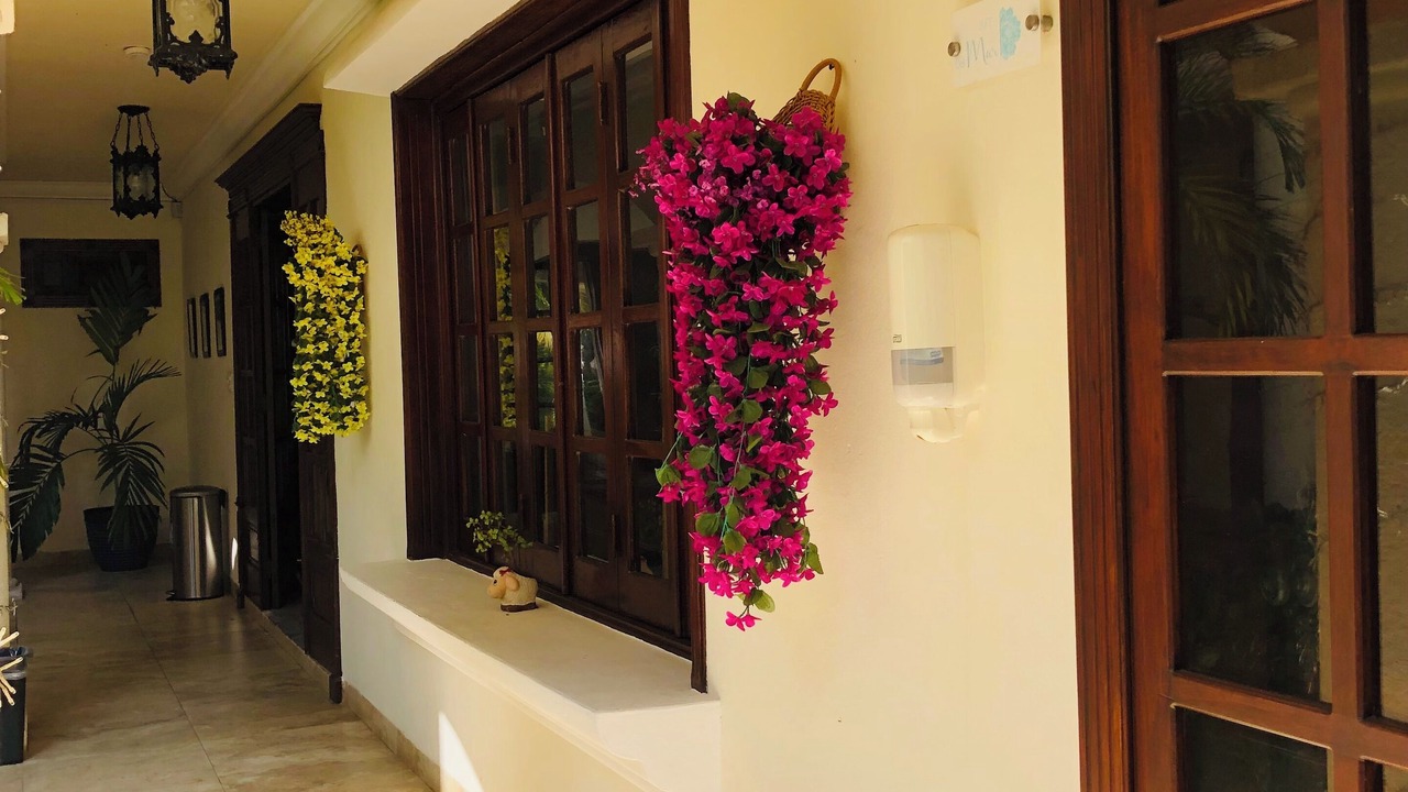 Photo of Outdoor in Colonia Andres