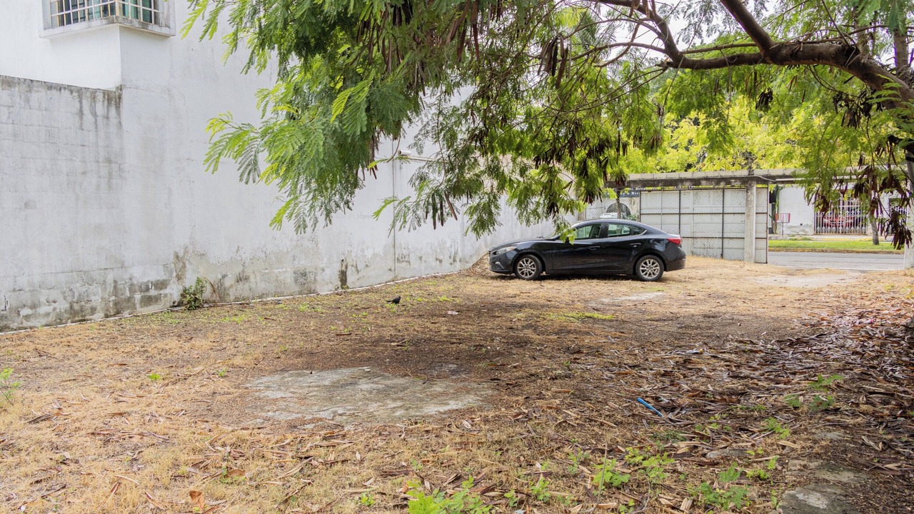Photo of Others in Chetumal