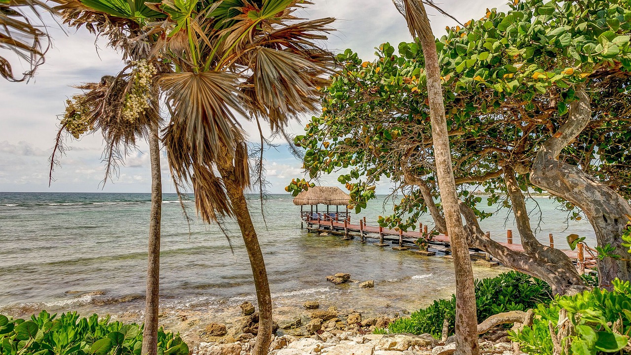 Photo of Others in Akumal