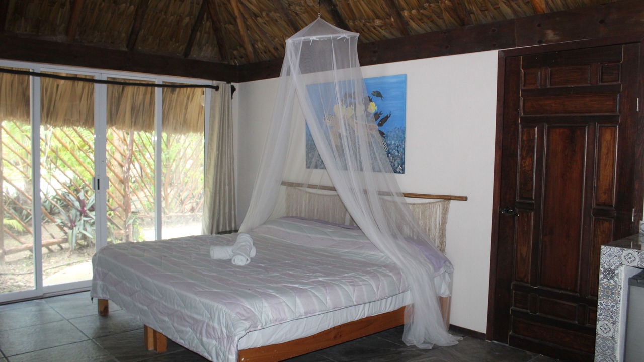 Photo of Others in Akumal