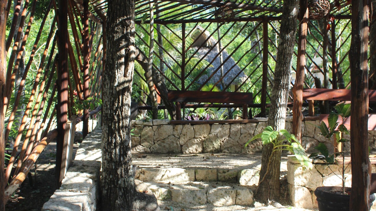 Photo of Others in Akumal