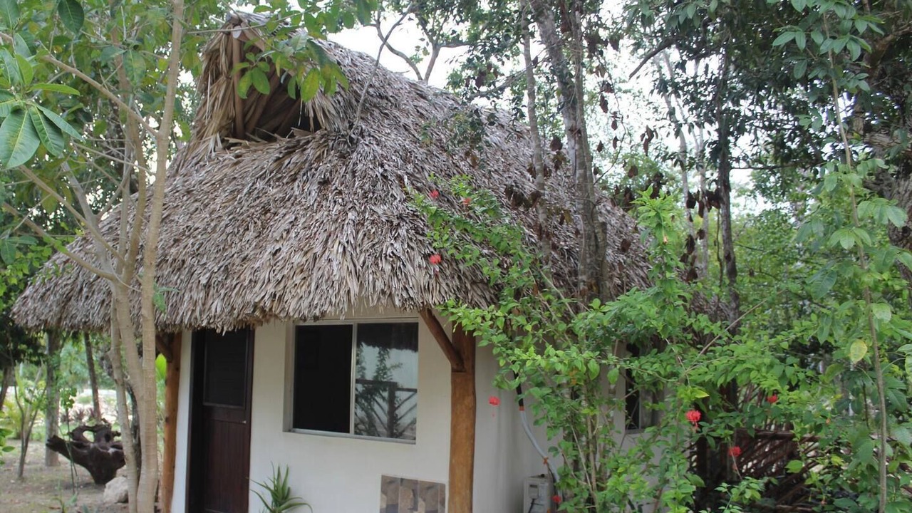 Photo of Others in Akumal