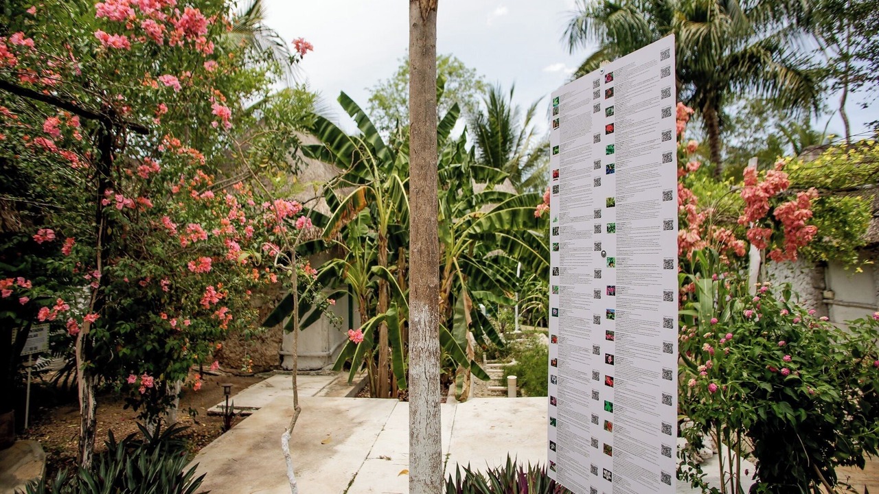 Photo of Outdoor in Izamal