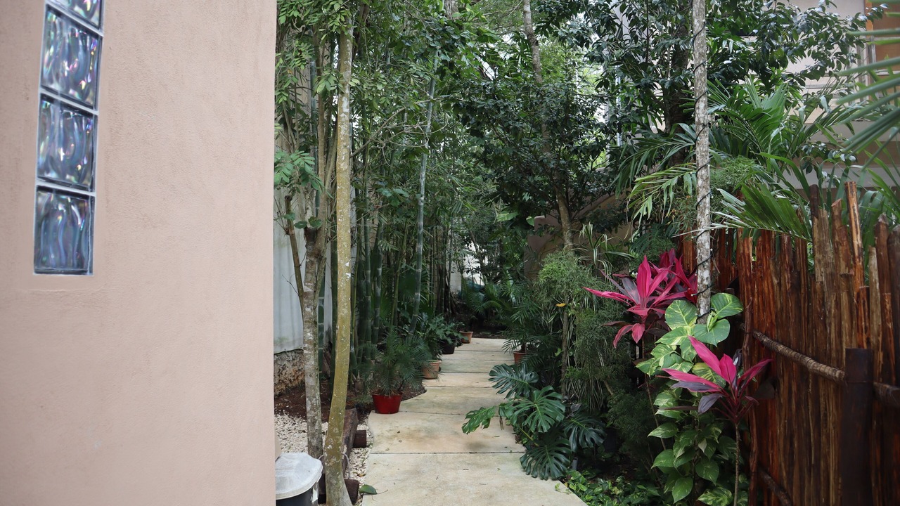 Photo of Outdoor in Benito Juarez
