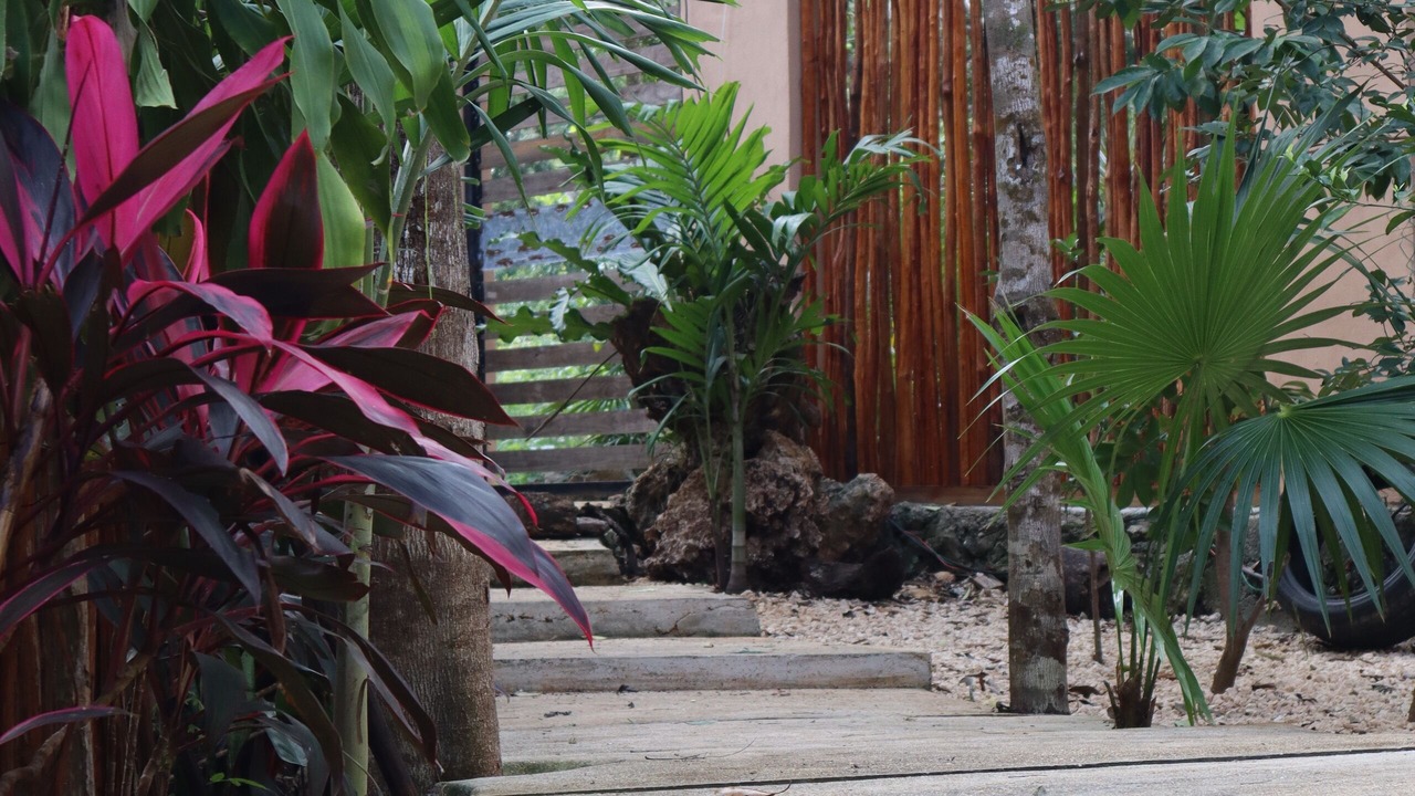 Photo of Outdoor in Benito Juarez