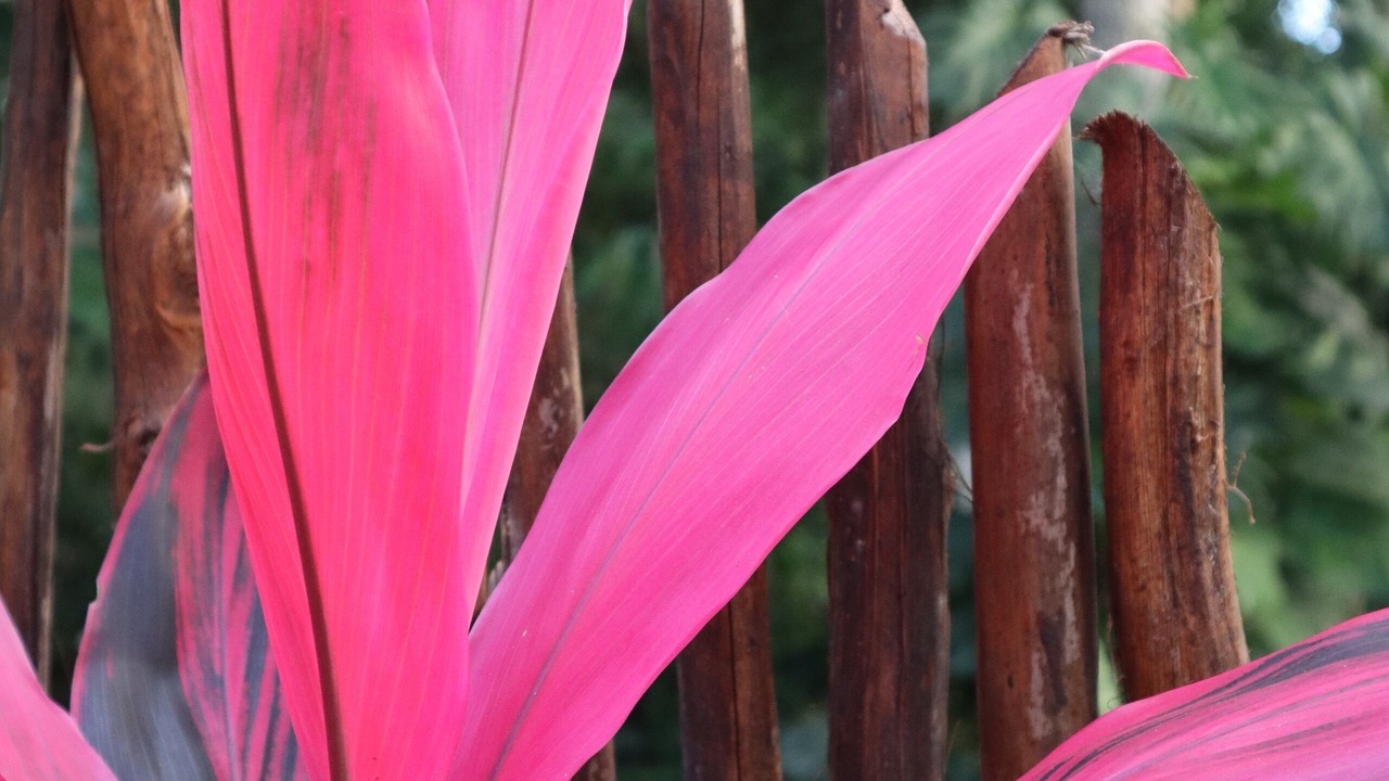 Photo of Outdoor in Benito Juarez