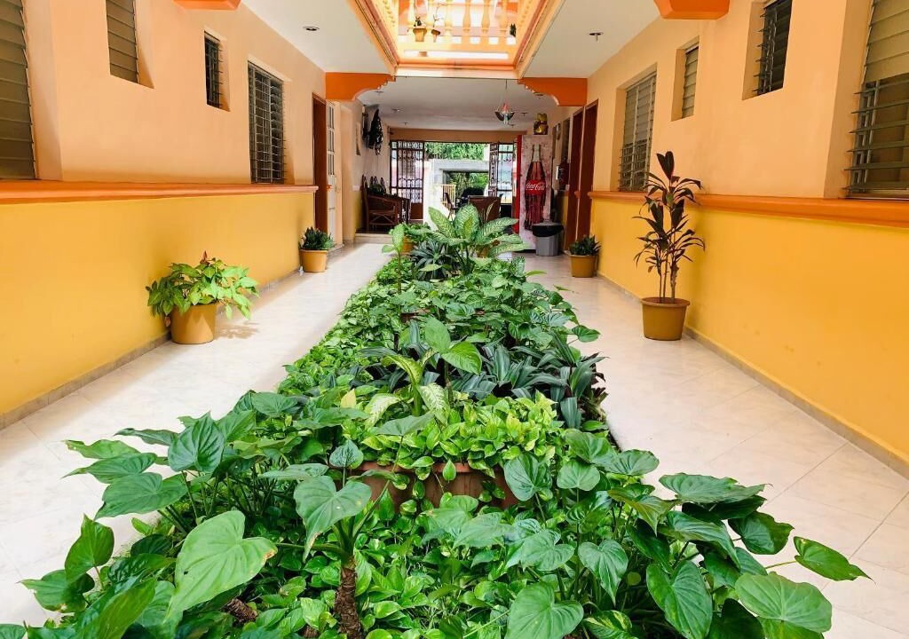 Photo of Outdoor in Colonia Centro