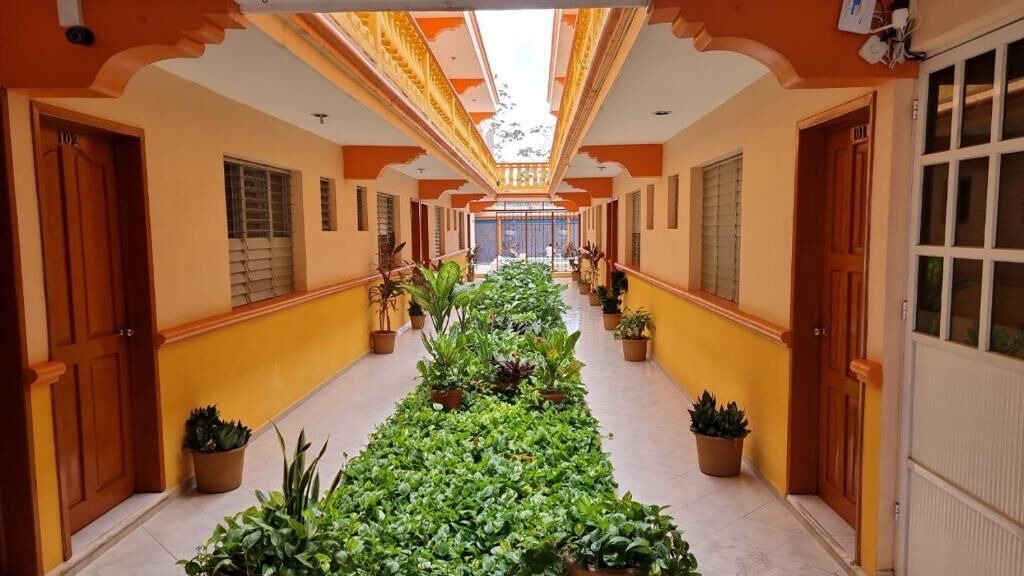 Photo of Outdoor in Colonia Centro