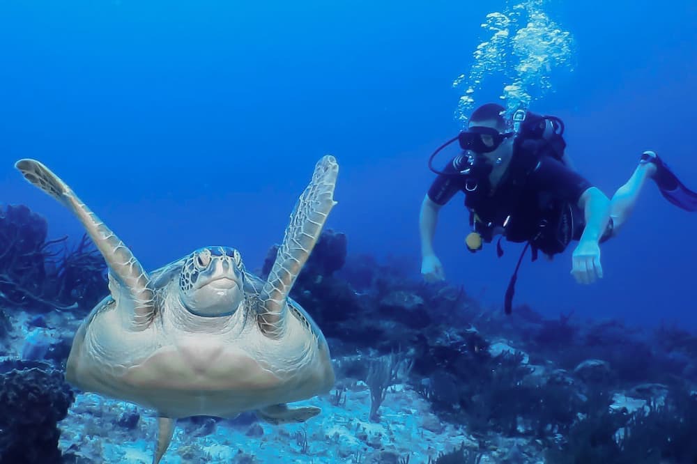 Photo of Others in Costa Maya