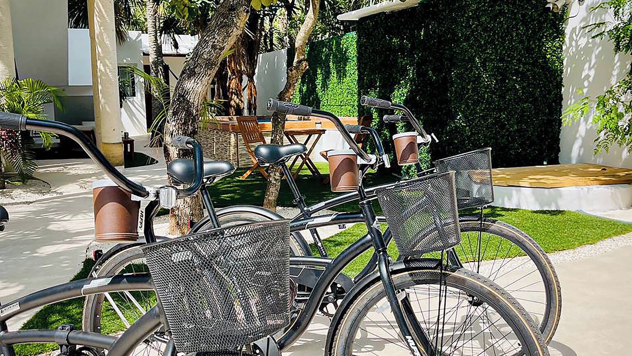Photo of Outdoor in Colonia Centro