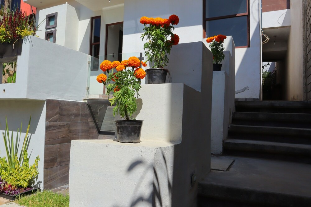 Photo of Outdoor in Oaxaca