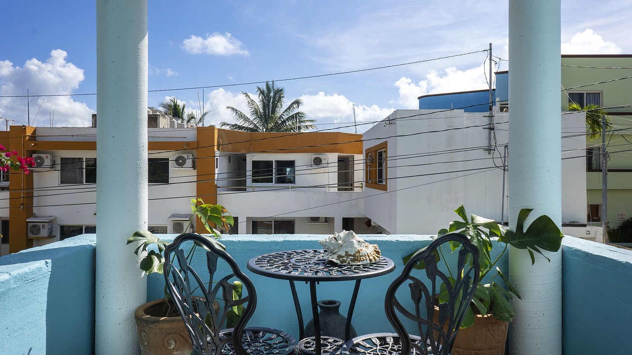 Photo of Others in Puerto Morelos
