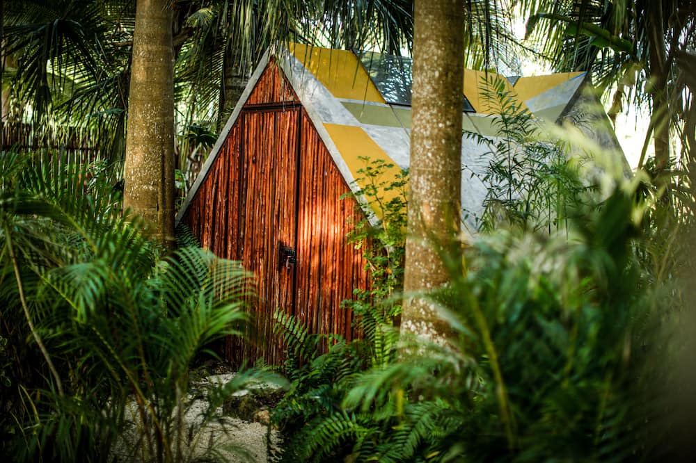 Photo of Outdoor in Buenavista