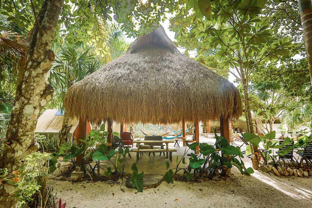 Photo of Patio Balcony in Buenavista