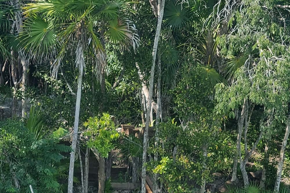 Photo of Outdoor in Buenavista