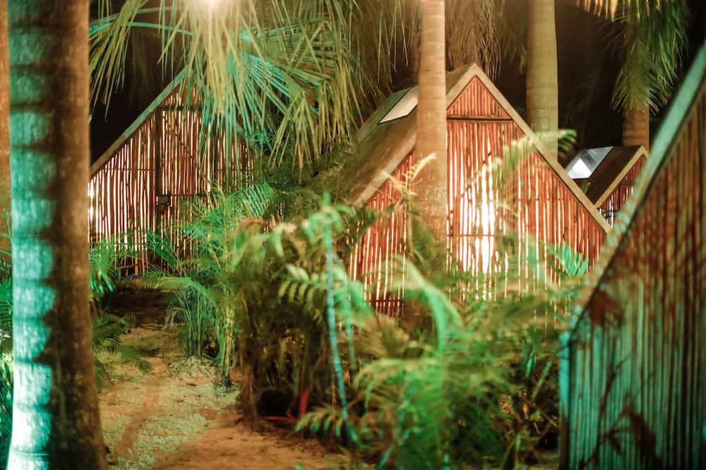Photo of Outdoor in Buenavista
