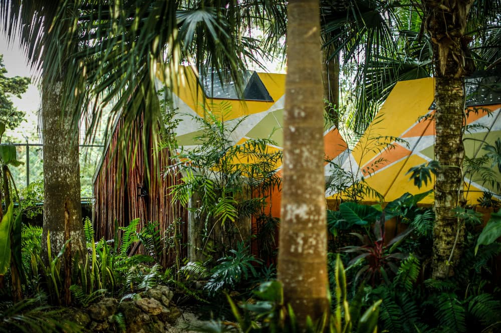 Photo of Outdoor in Buenavista