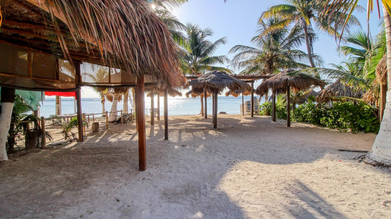 Photo of Others in Majahual
