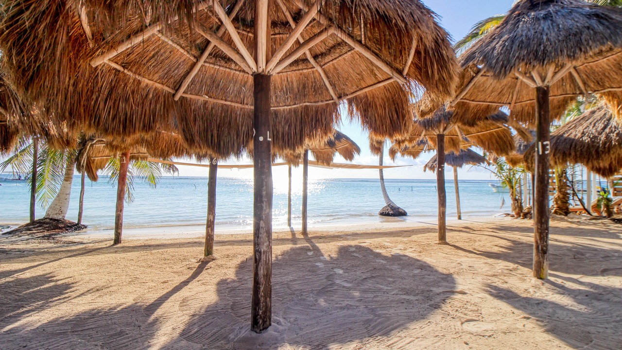 Photo of Others in Majahual