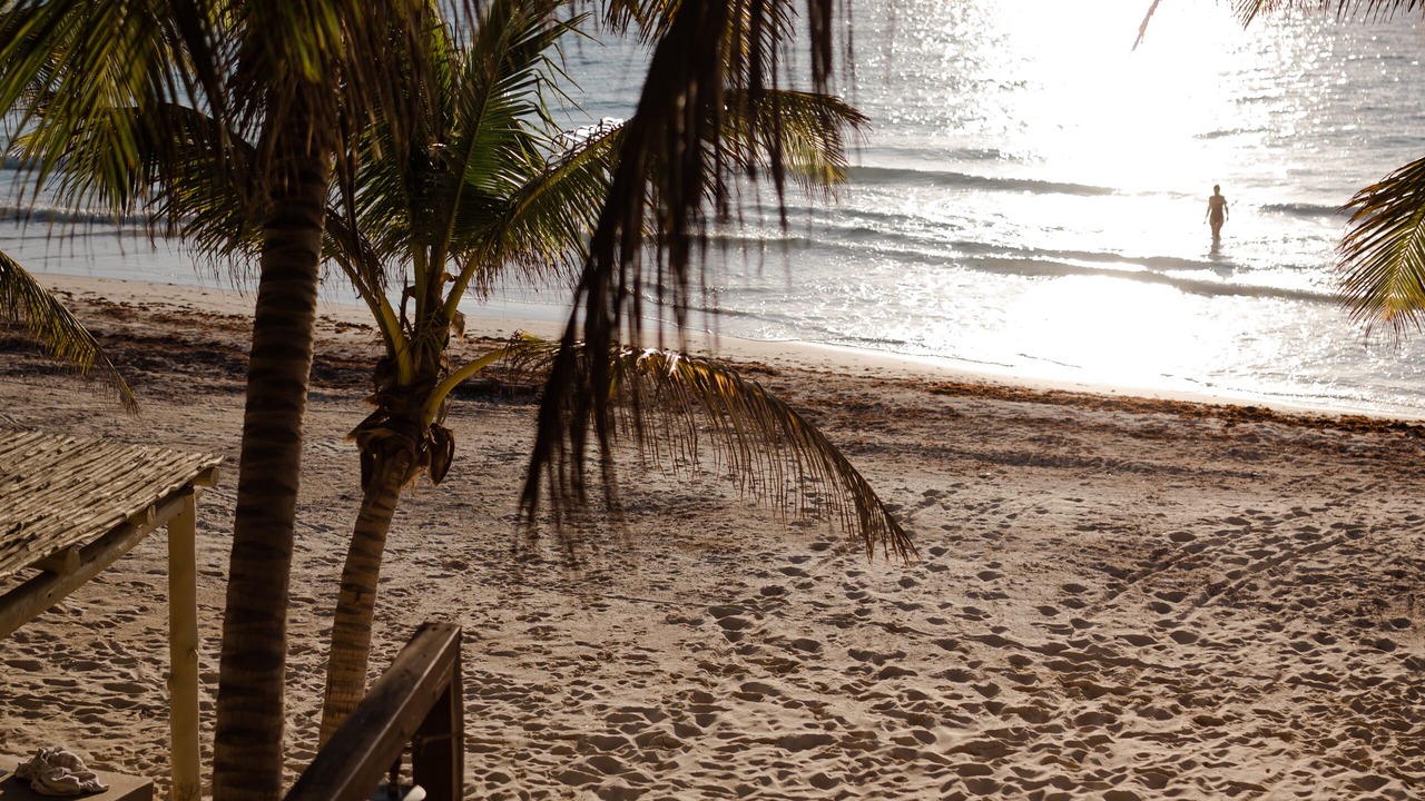 Photo of Others in Chacchoben