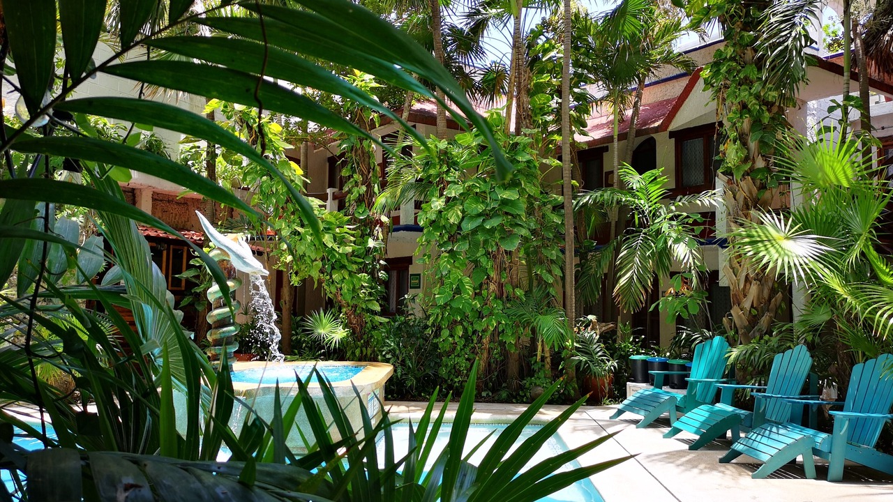 Photo of Outdoor in Downtown Cancun