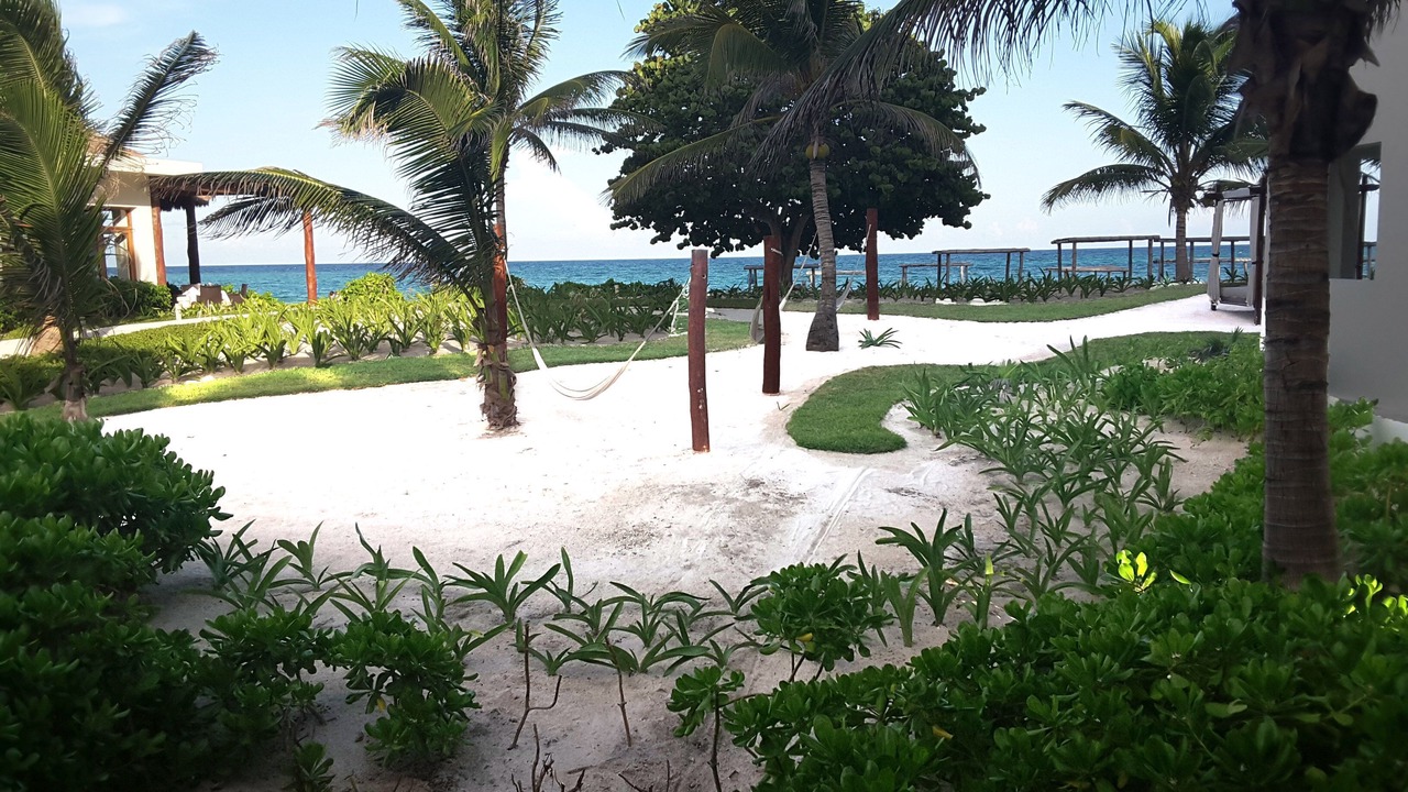 Photo of Others in Akumal