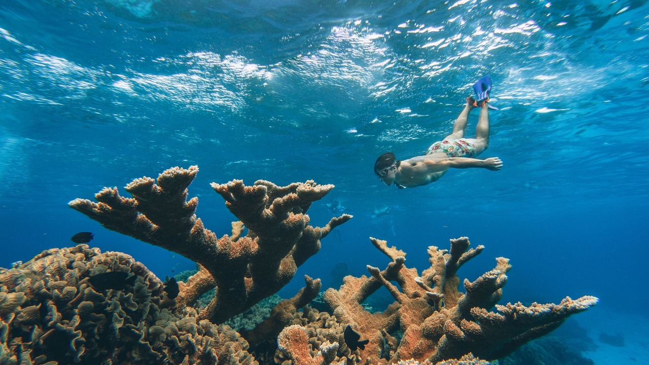 Photo of Others in Cozumel