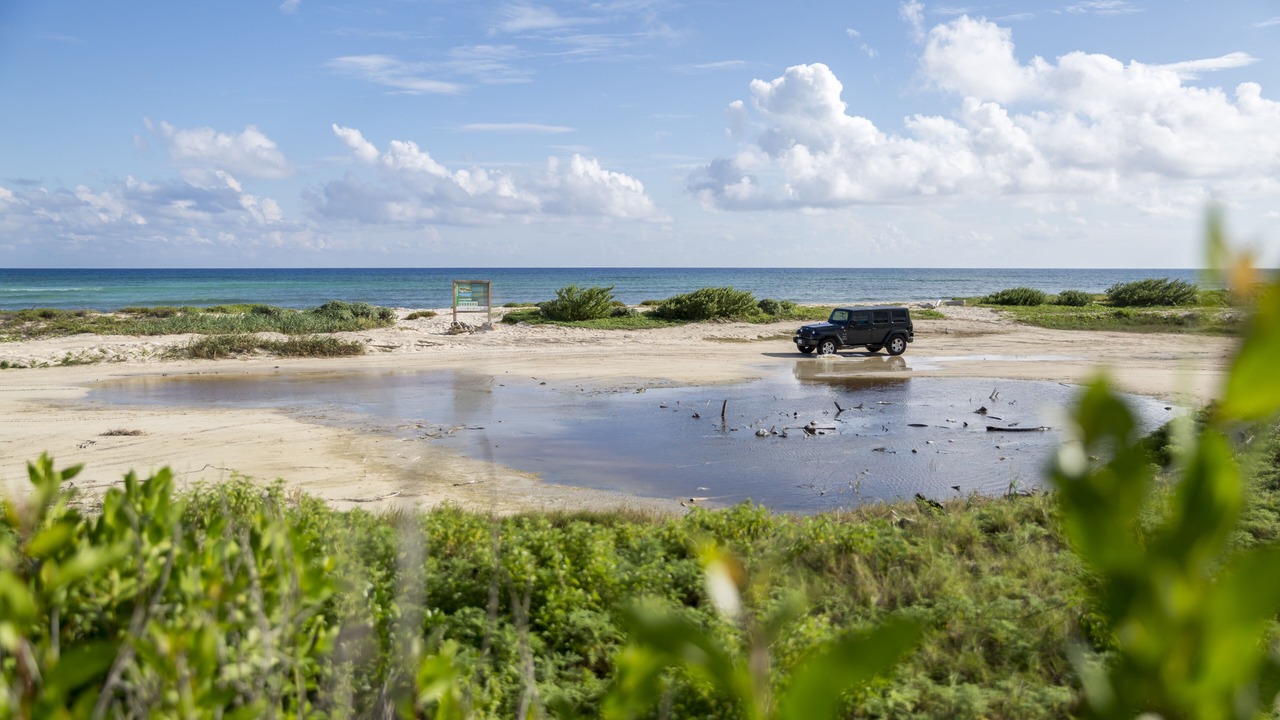 Photo of Others in Cozumel