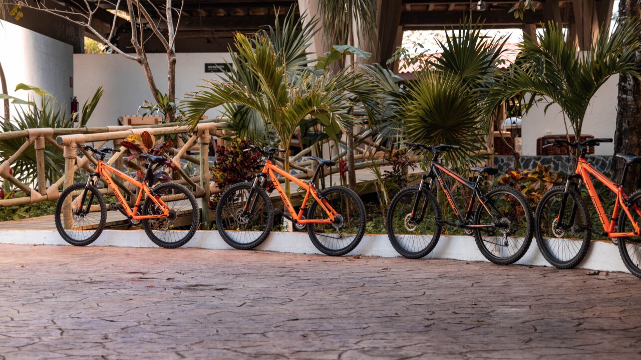 Photo of Outdoor in Cozumel