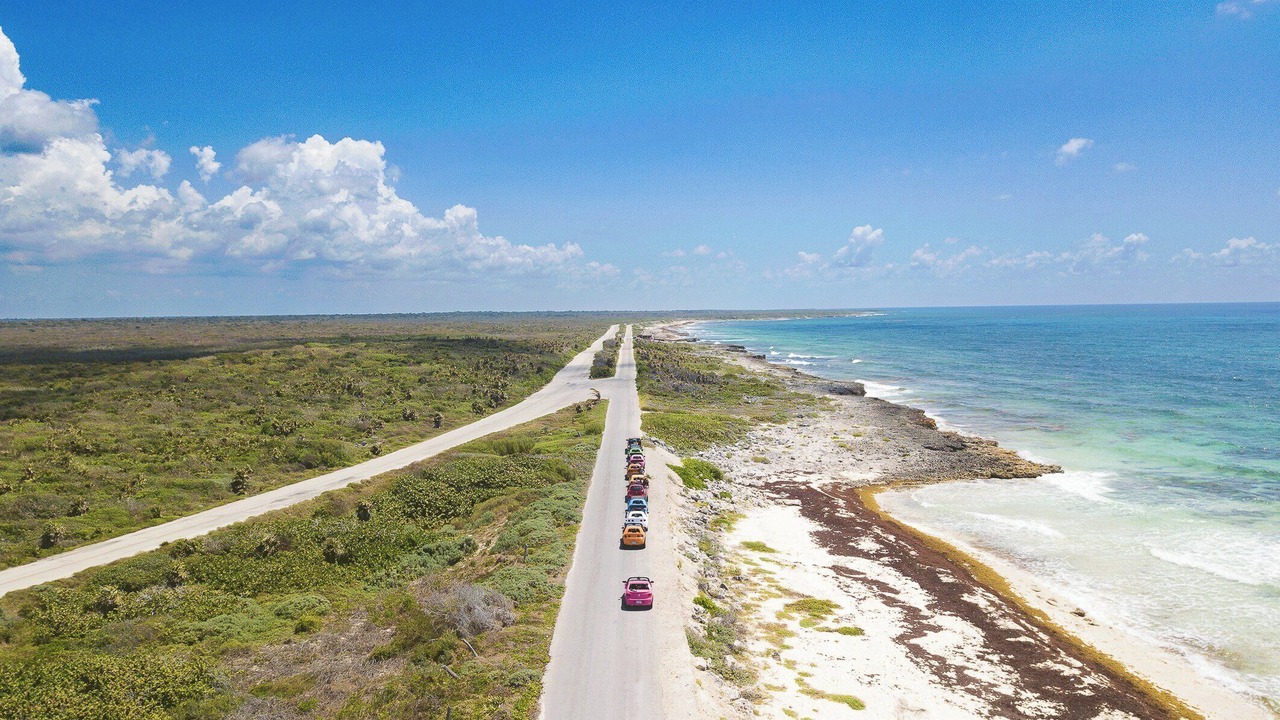 Photo of Others in Cozumel
