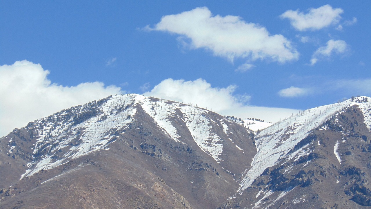 Photo of Outdoor in Springville