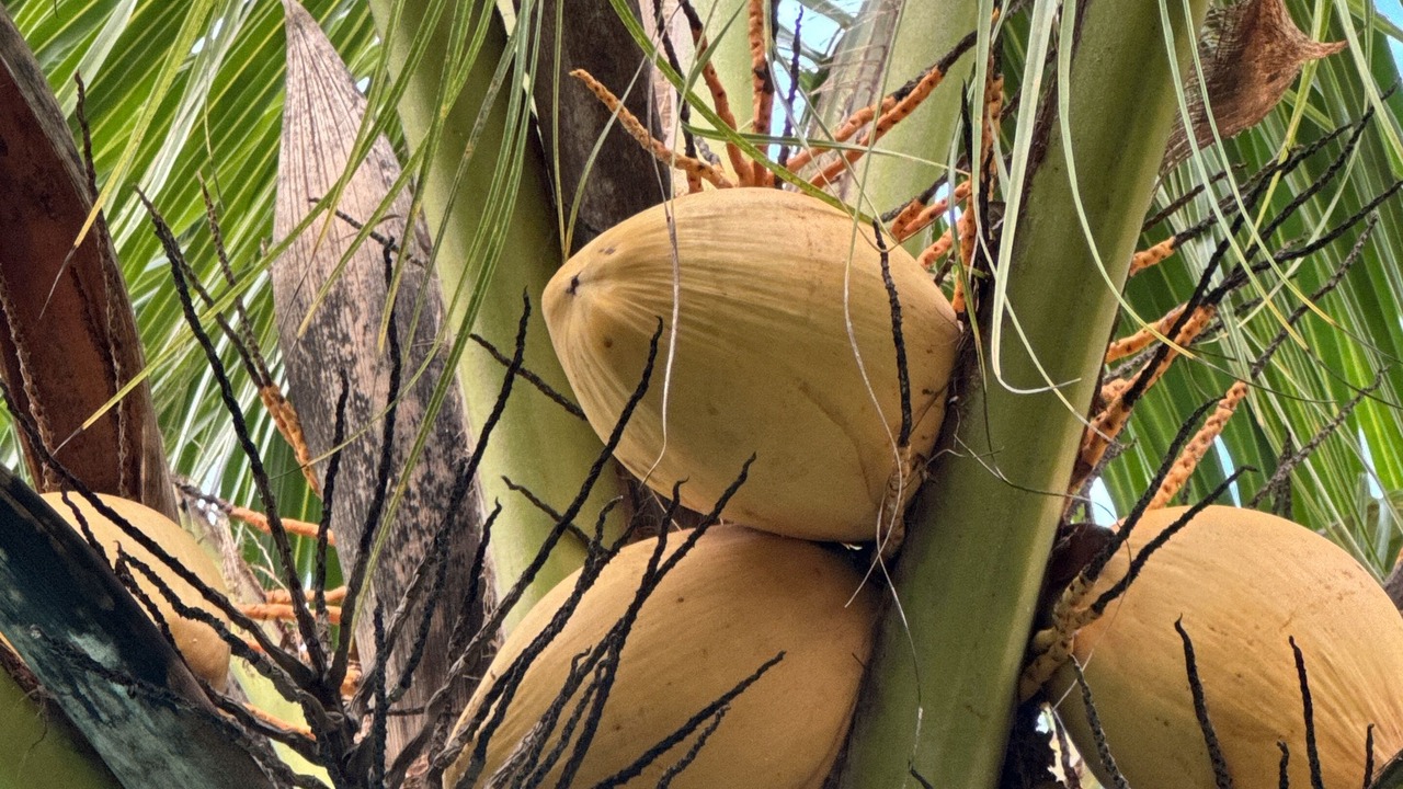 Photo of Outdoor in Soliman Bay