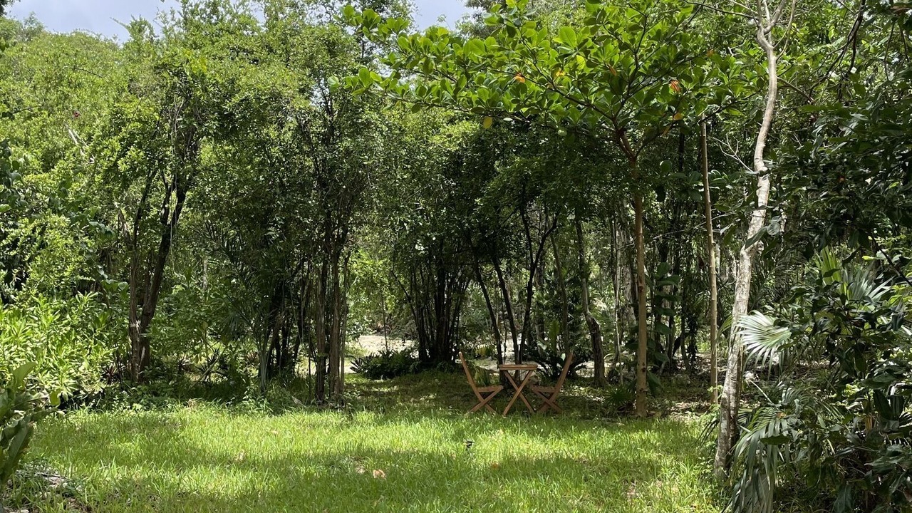 Photo of Outdoor in Soliman Bay
