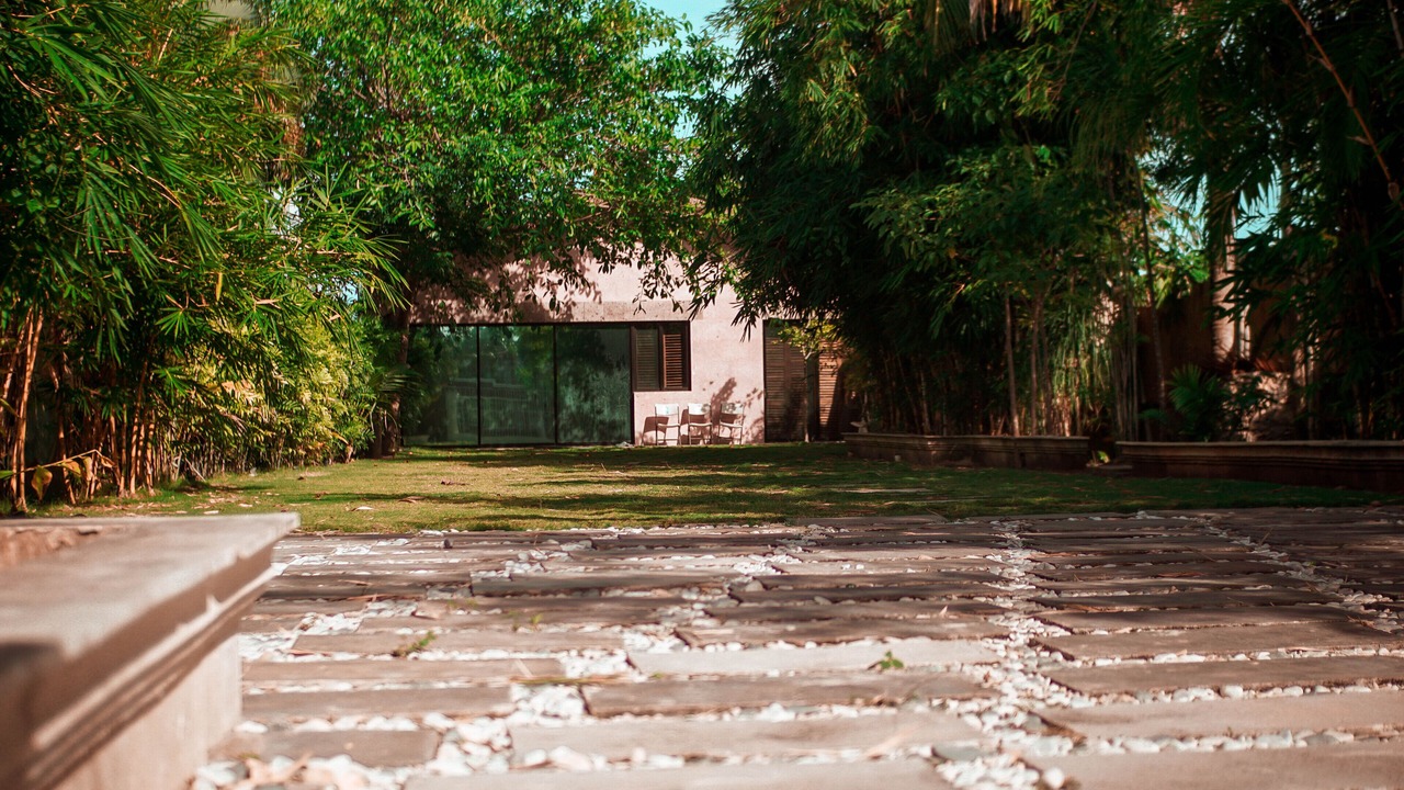 Photo of Outdoor in Chetumal